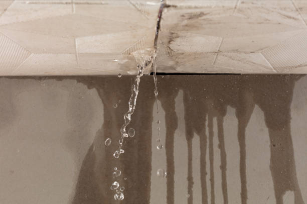 Professional Structural Drying technician working in Colchester, IL